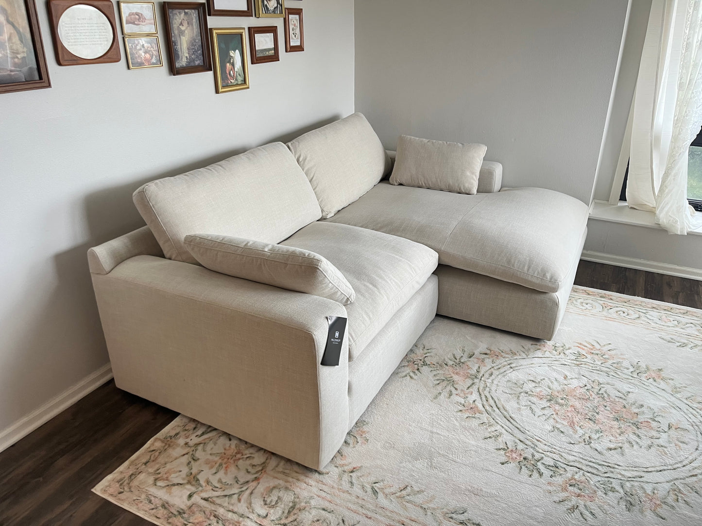 Elyza 2-Piece Sectional with Chaise