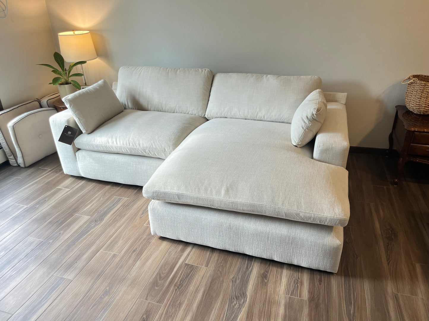 Elyza 2-Piece Sectional with Chaise