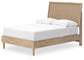 Cielden Full Panel Bed with Dresser and Nightstand