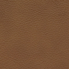 PCU10700/6A/58/62/77 : PCU10700S11